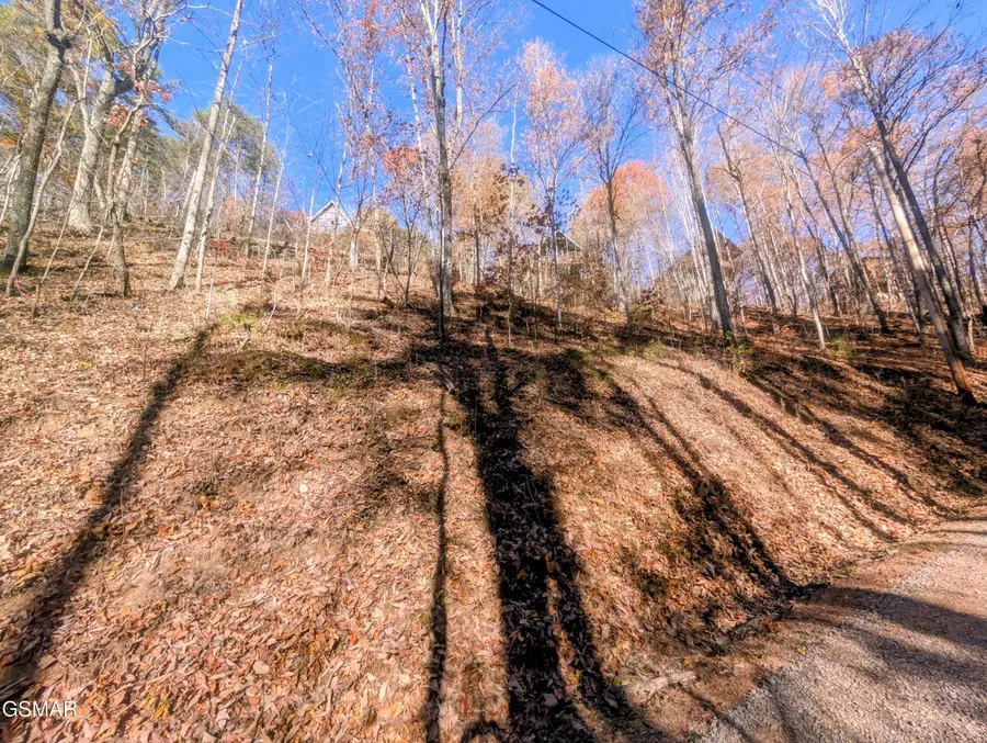Lot 177B Tsali Drive, Sevierville, TN 37876 - Image #3