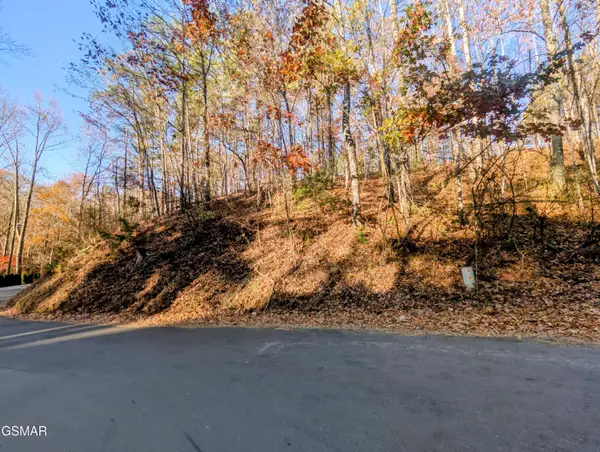 Lot 483 School House Gap Road, Sevierville, TN 37876