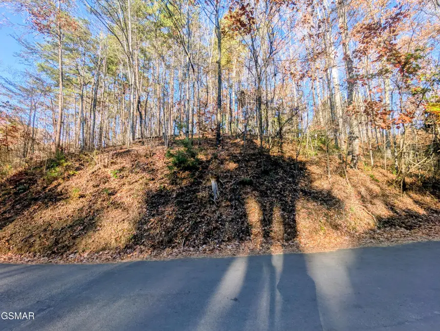Lot 483 School House Gap Road, Sevierville, TN 37876 - Image #3