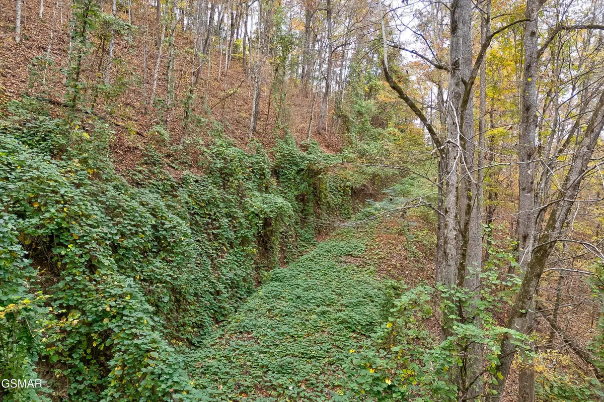 Lots 1,2,3 Timber Grove Road, Sevierville, TN 37862 - Image #1