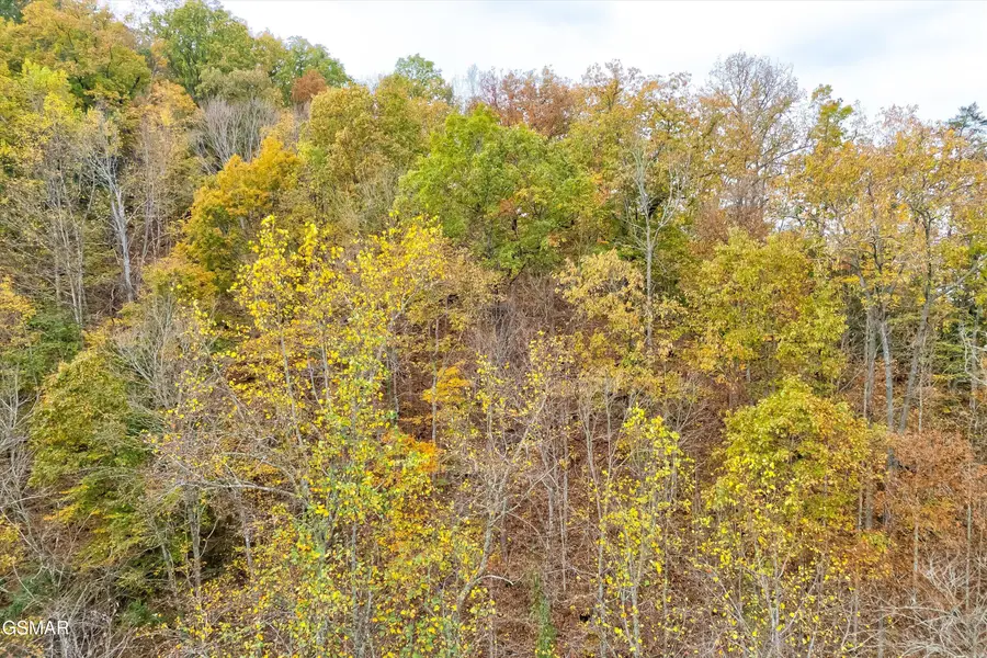 Lots 1,2,3 Timber Grove Road, Sevierville, TN 37862 - Image #3
