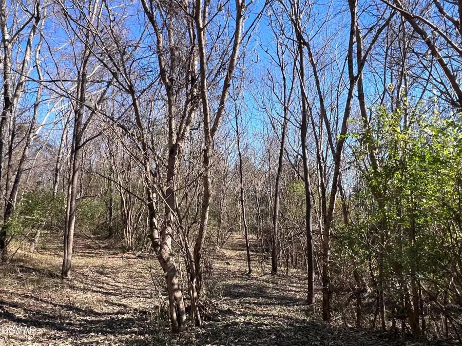 OFF Jefferson Street, White Pine, TN 37890 - Image #3