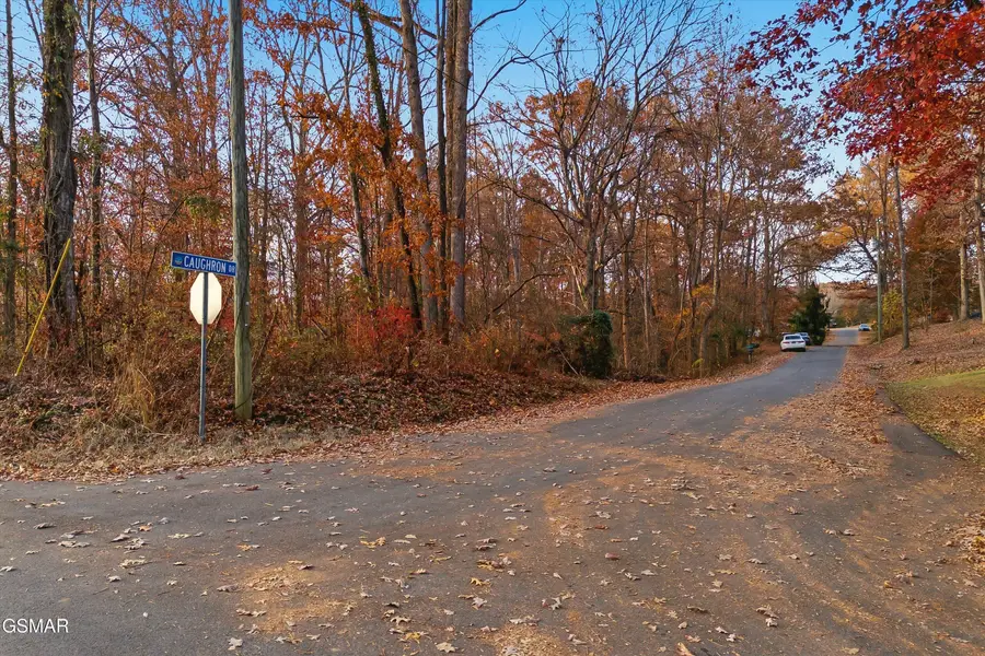 Lot 108 Arch Rock Drive, Sevierville, TN 37876 - Image #3