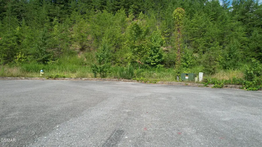 3150 Cherokee Valley Drive, Sevierville, TN 37862 - Image #2