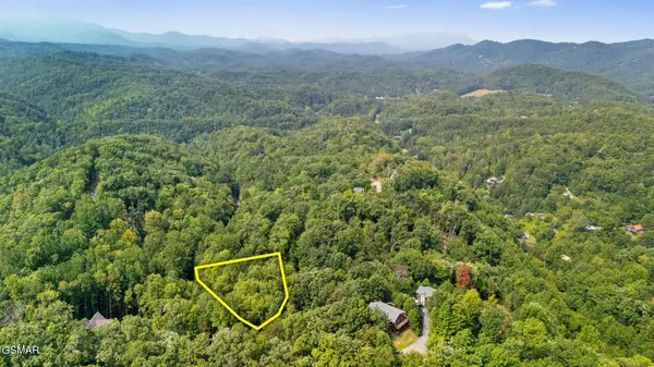L 10/11 Bluebird Ridge Way, Sevierville, TN 37876