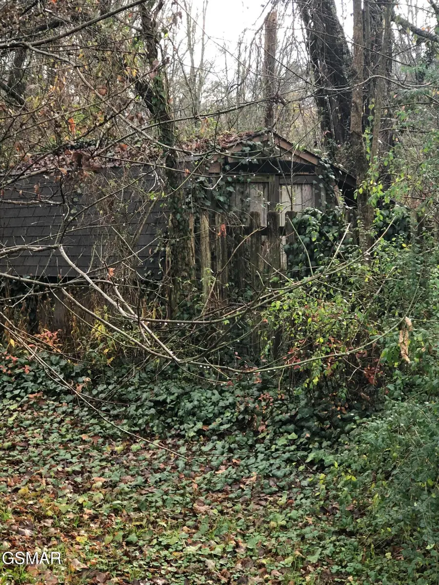 1800 Frankie Lane, Sevierville, TN 37876 - Image #3