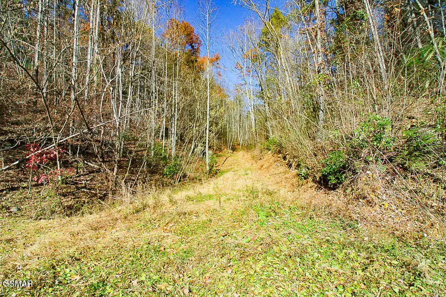 443 Huskey Grove Road, Sevierville, TN 37876 - Image #2