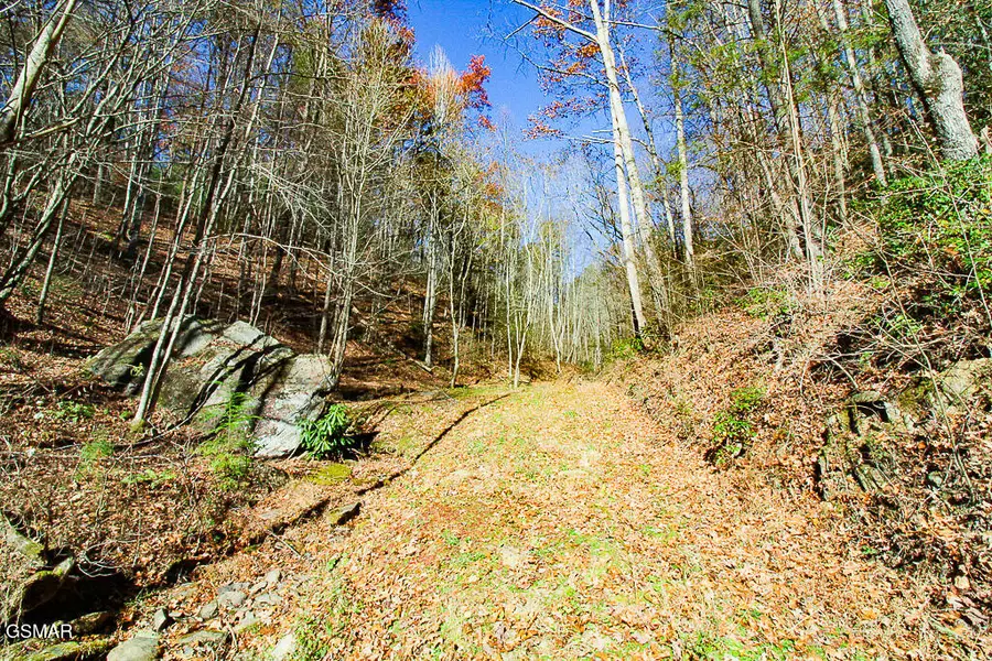 443 Huskey Grove Road, Sevierville, TN 37876 - Image #3