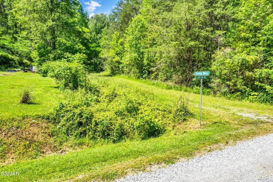 lot 5 Amis Way, Sevierville, TN 37876 - Image #2