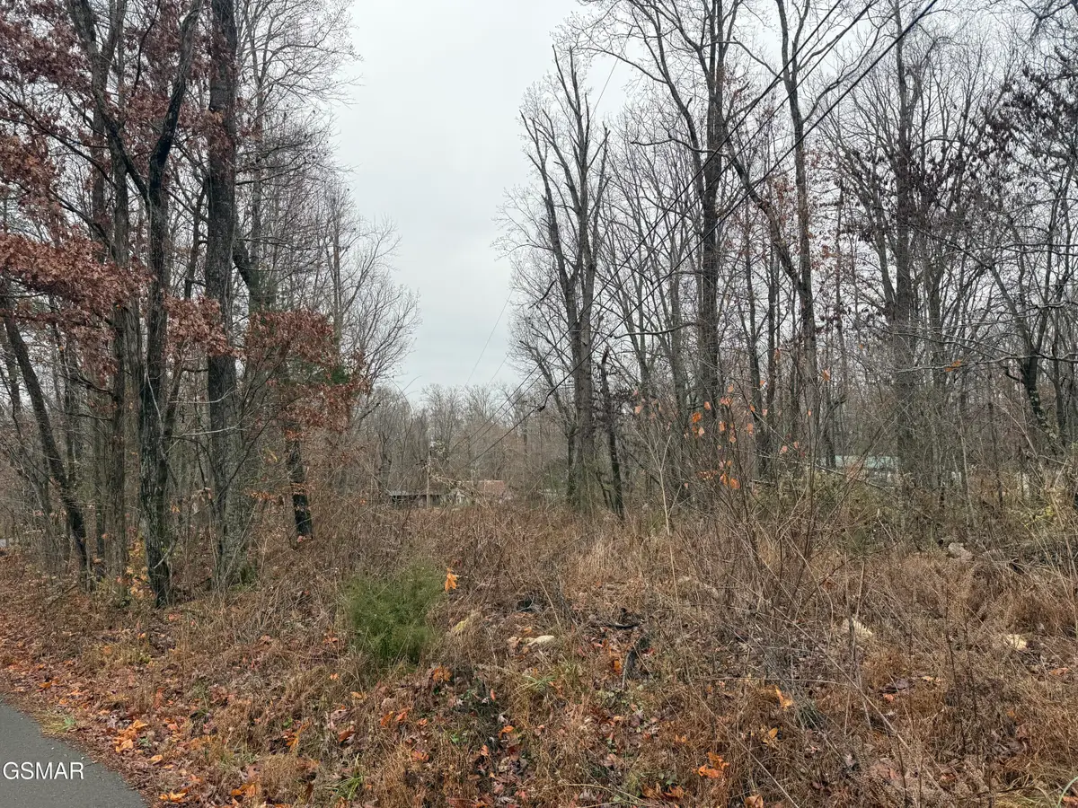 0 Collier Loop, Dandridge, TN 37725 - Image #1