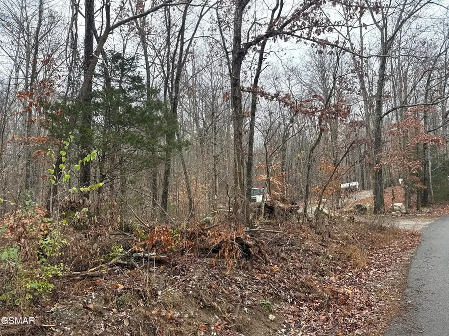 0 Collier Loop, Dandridge, TN 37725 - Image #3