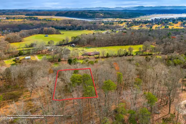 Lot 1427 Hillside Place, White Pine, TN 37890