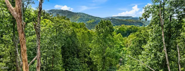 7R2 E Kings Ridge Road, Gatlinburg, TN 37738