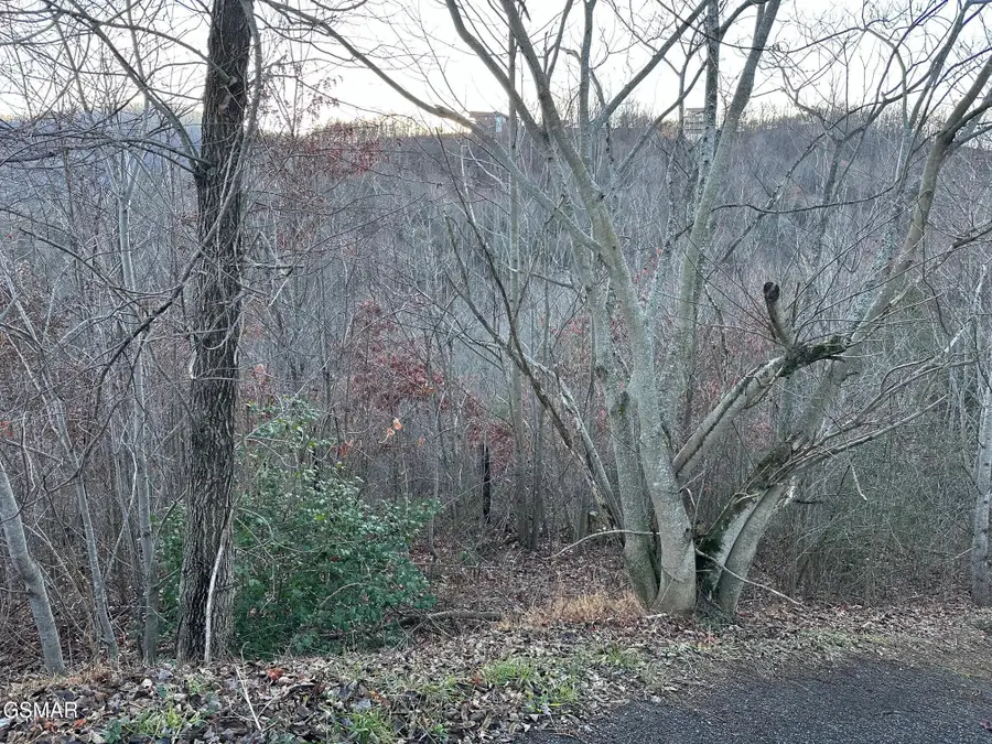 1611 Mountain Dreams Way, Sevierville, TN 37862 - Image #2