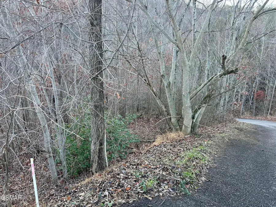 1611 Mountain Dreams Way, Sevierville, TN 37862 - Image #3