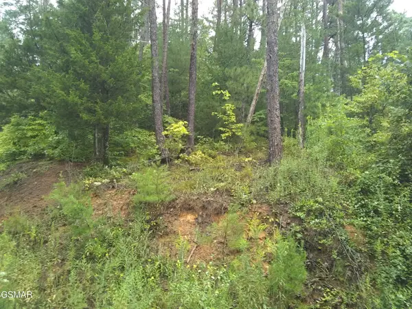 23 Walden Ridge Road, Sevierville, TN 37862