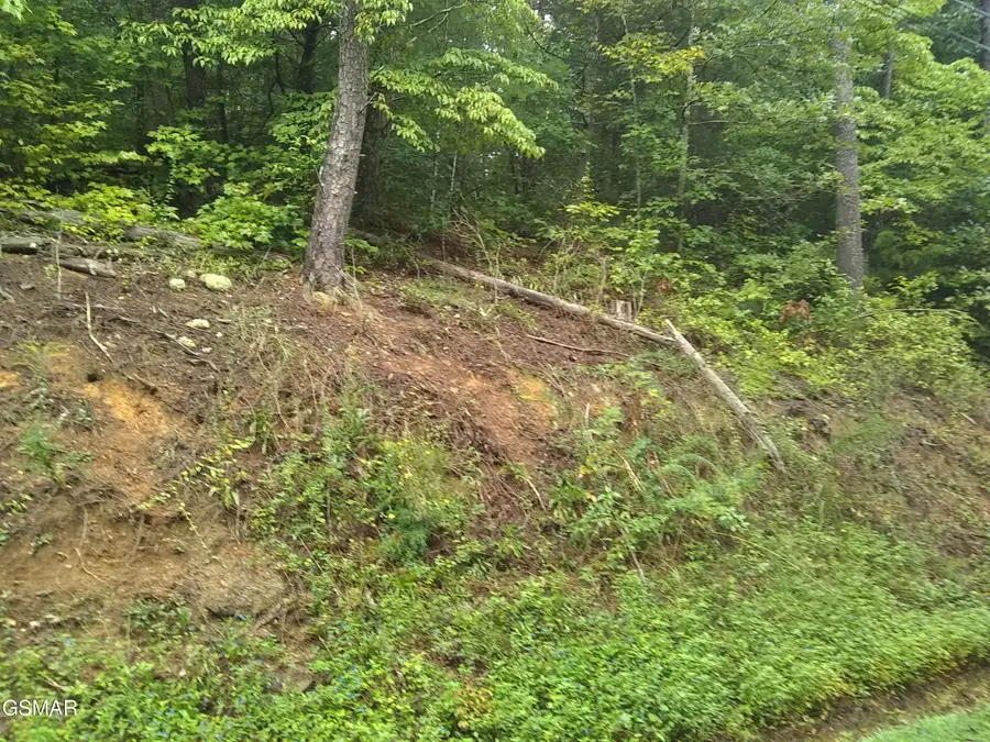 23 Walden Ridge Road, Sevierville, TN 37862 - Image #3