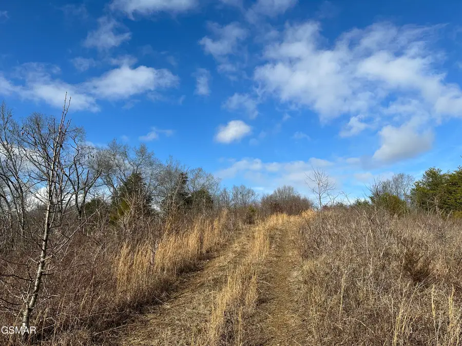 000 Leatherwood Road, Sevierville, TN 37876 - Image #2