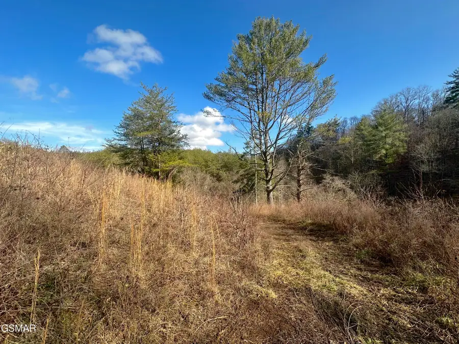 000 Leatherwood Road, Sevierville, TN 37876 - Image #3
