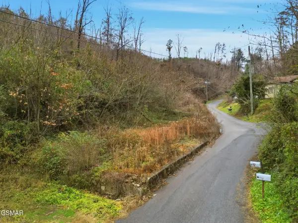 119 Hickam Hollow Road, Gatlinburg, TN 37738