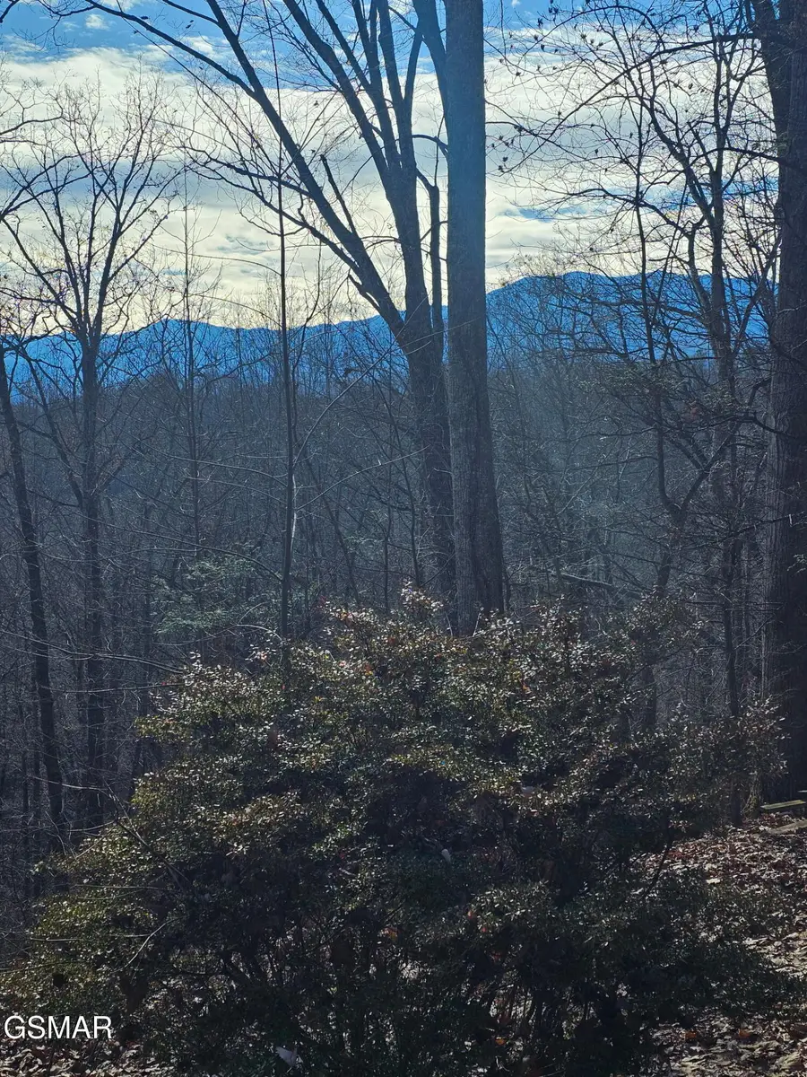 2239 Grassy Branch Road, Sevierville, TN 37876 - Image #2