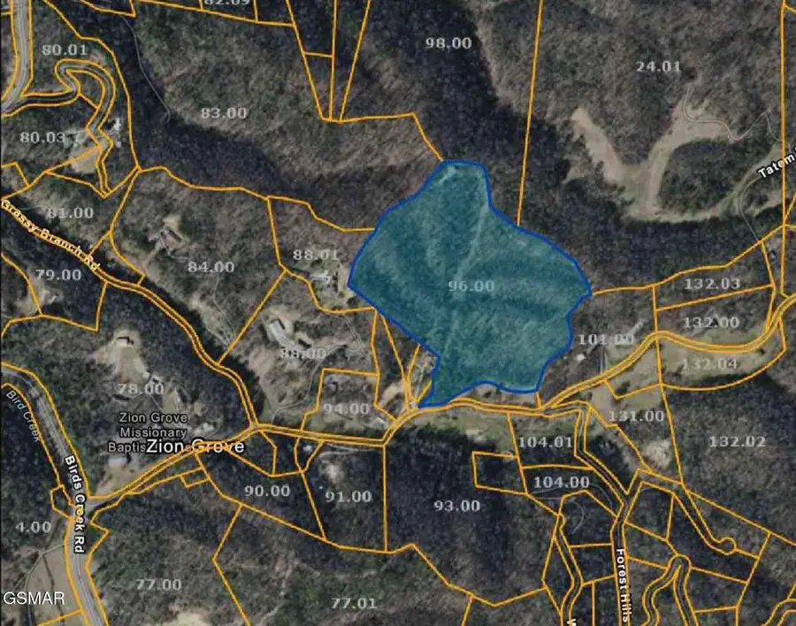 2239 Grassy Branch Road, Sevierville, TN 37876 - Image #3