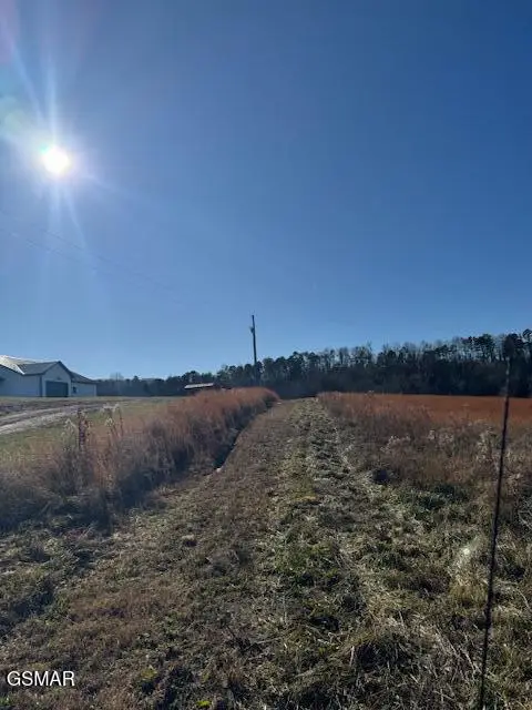 194 County Line Road, Dandridge, TN 37725 - Image #2