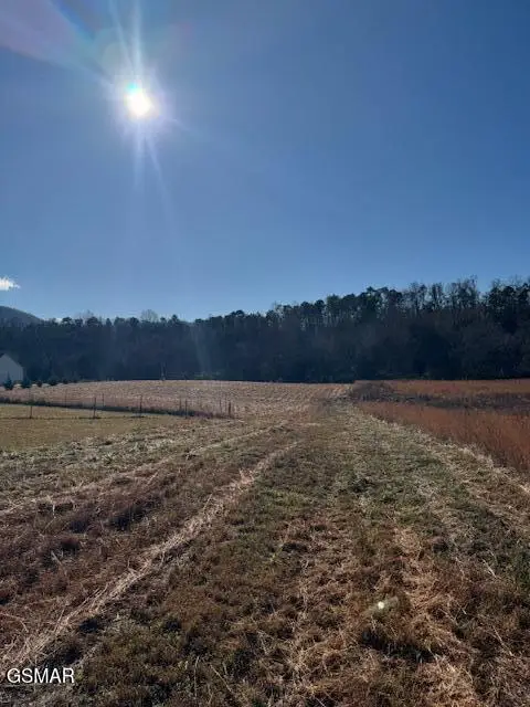 194 County Line Road, Dandridge, TN 37725 - Image #3