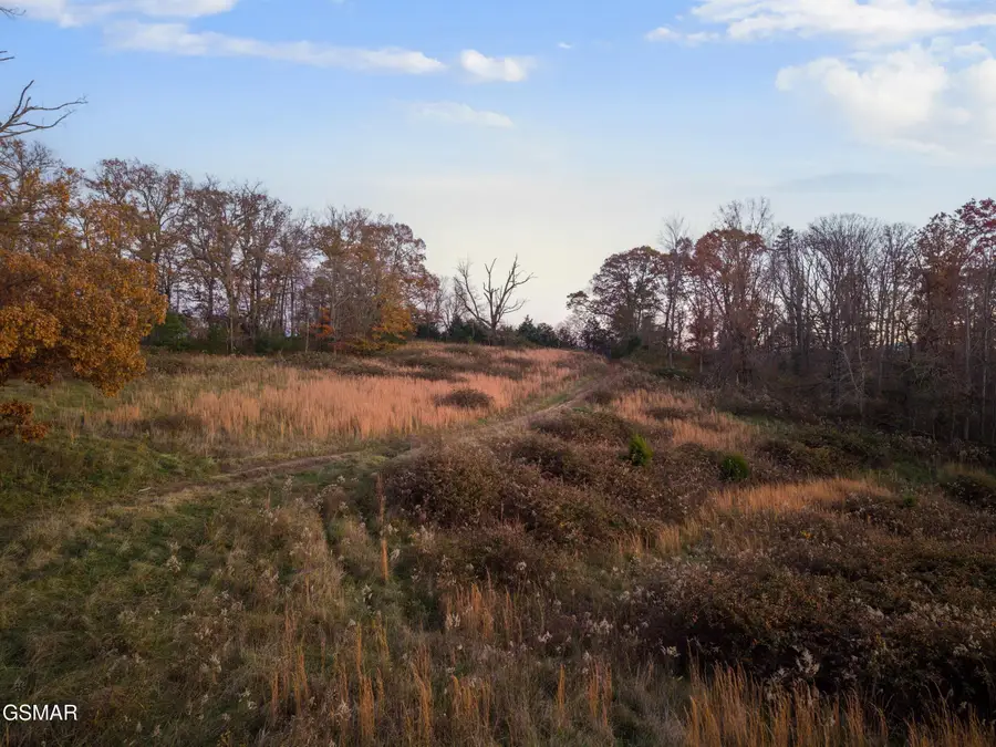 830 Hillside Drive, Dandridge, TN 37725 - Image #3