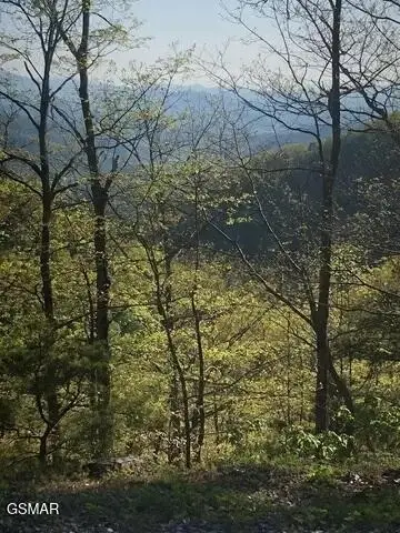 18 Red Maple Lane, Sevierville, TN 37876 - Image #3