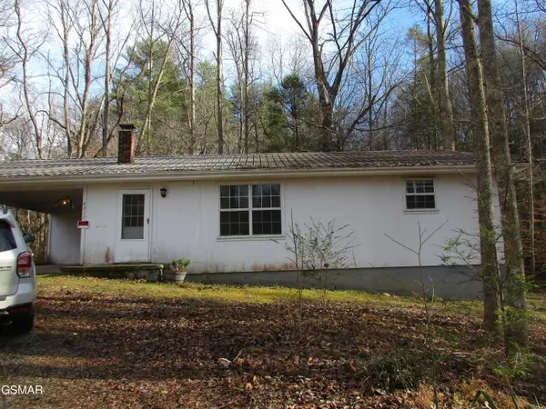 4317 Lindsey Gap, Cosby, TN 37722