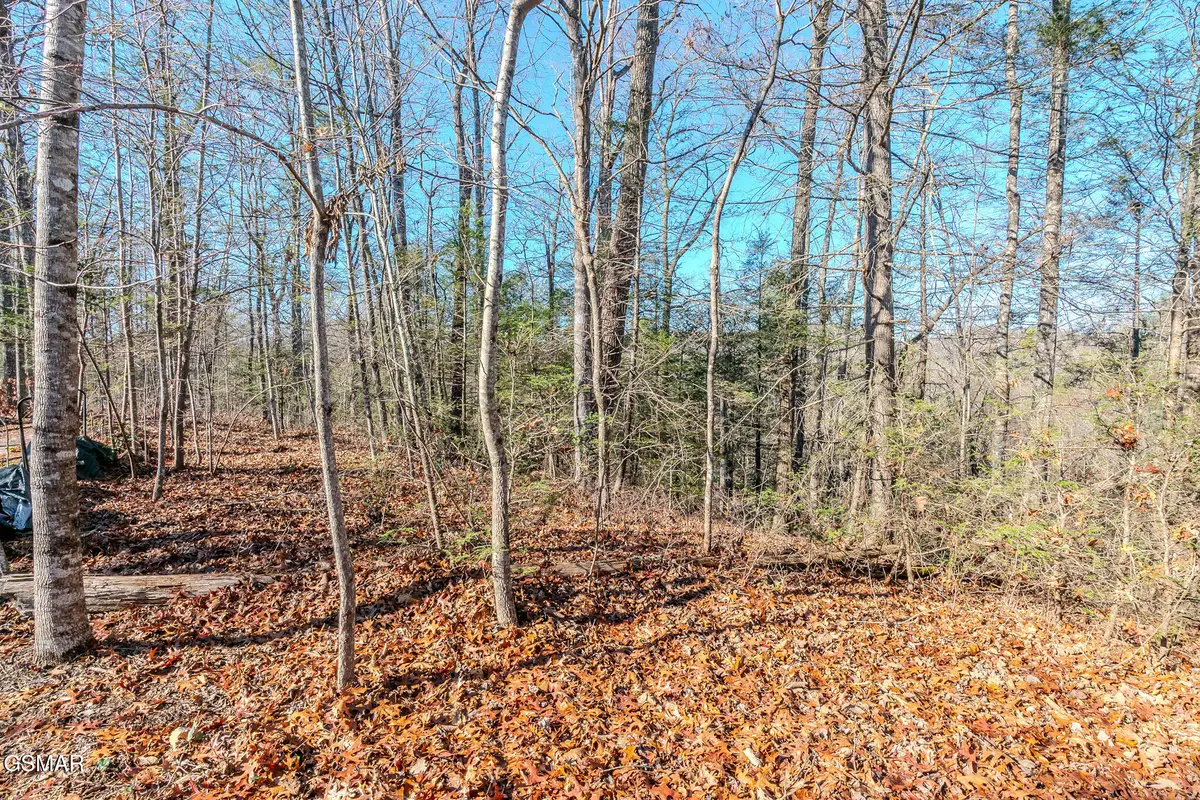 Lot 22R Shady Grove, Sevierville, TN 37876 - Image #1