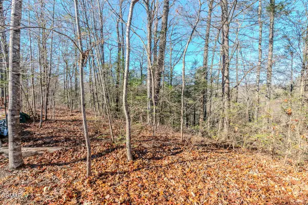 Lot 22R Shady Grove, Sevierville, TN 37876