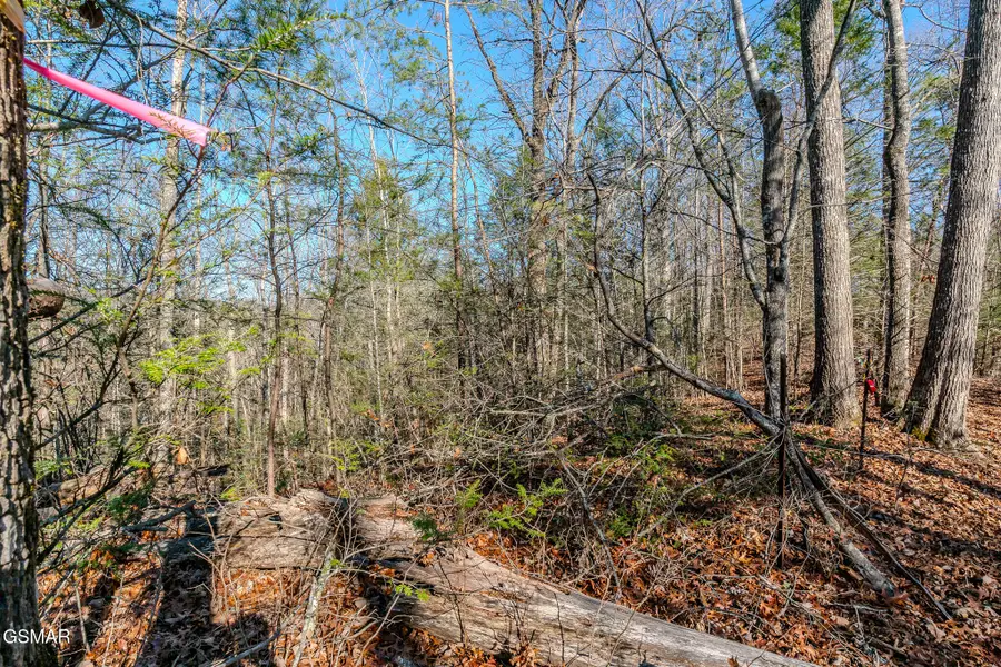 Lot 22R Shady Grove, Sevierville, TN 37876 - Image #2