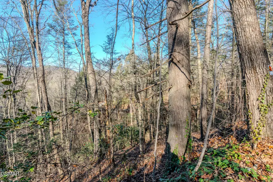 Lot 22R Shady Grove, Sevierville, TN 37876 - Image #3