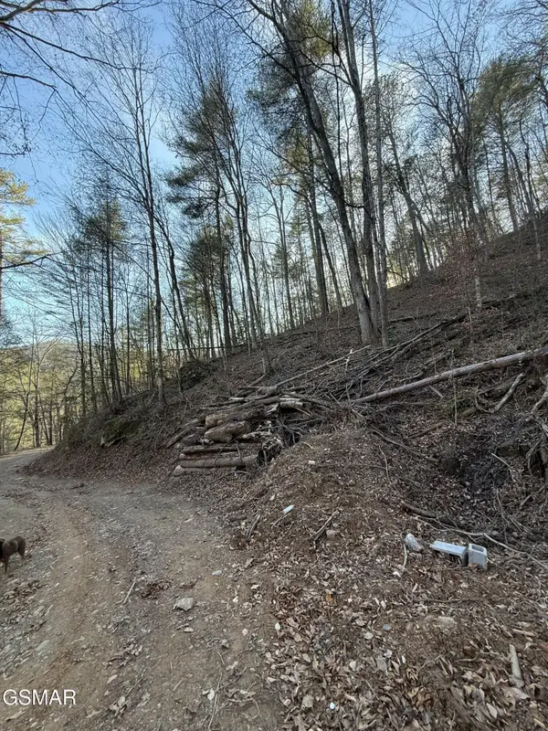Lot 20 Meadow View Road, Sevierville, TN 37862