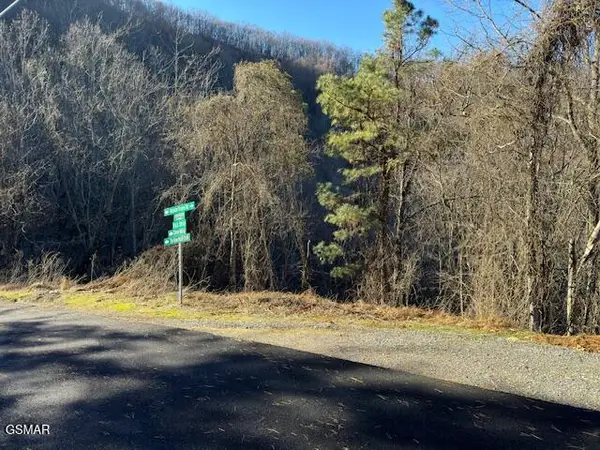 n/a Balsam Slopes Road, Sevierville, TN 37862