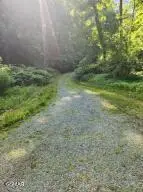 870 Seaton Lane, Seymour, TN 37865 - Image #2