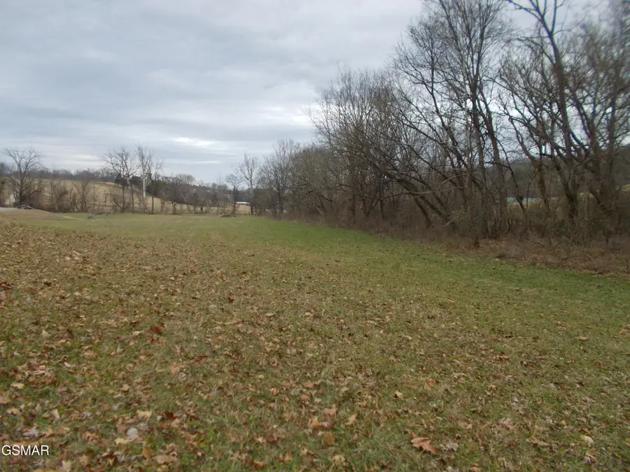 440 Mountain Lake Way, Newport, TN 37821 - #2