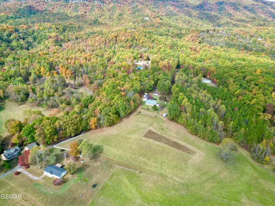 990 Keener Road, Cosby, TN 37722 - Image #3