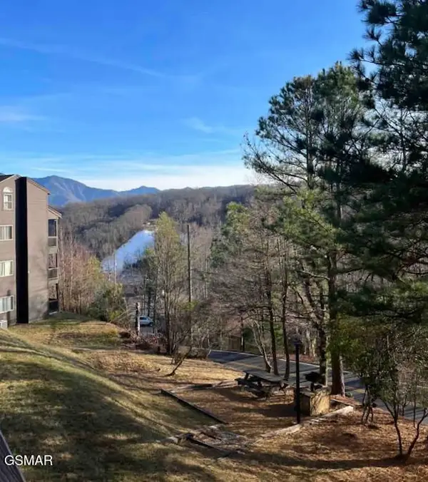 1380 Ski View Drive #UNIT 1204, Gatlinburg, TN 37738