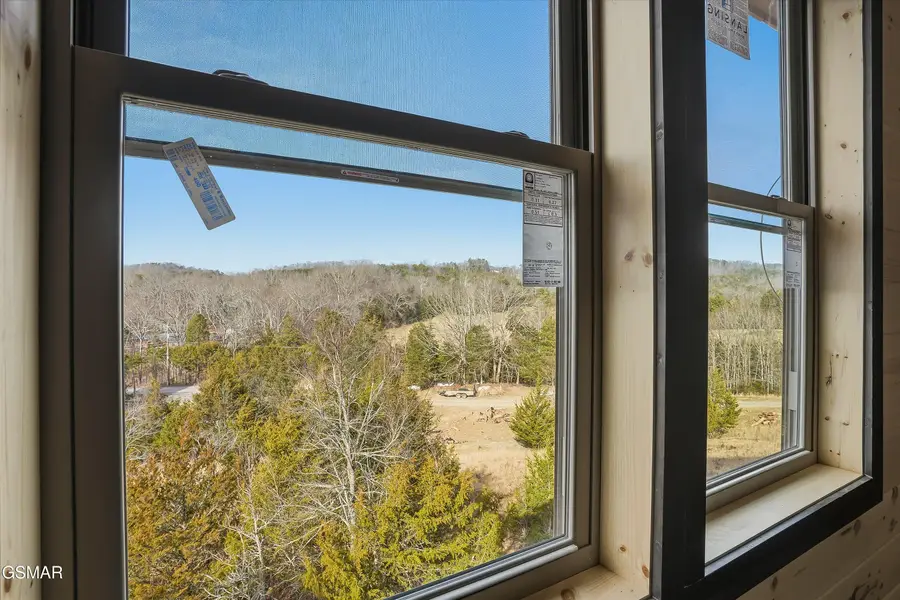 10322 Alex Bales Road, Kodak, TN 37764 - #3