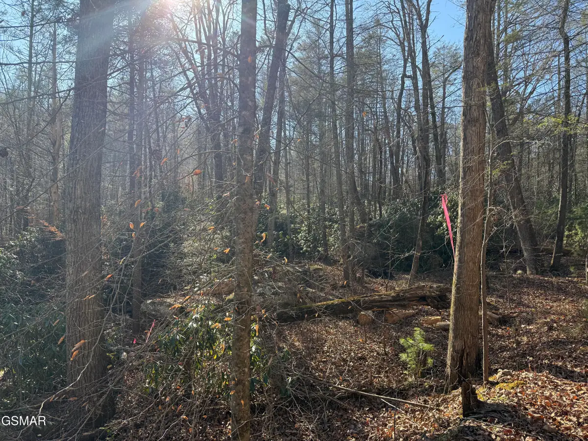 805 Bogard Creek Road, Cosby, TN 37722 - Image #1