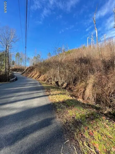 0 Little Smoky Road, Gatlinburg, TN 37738