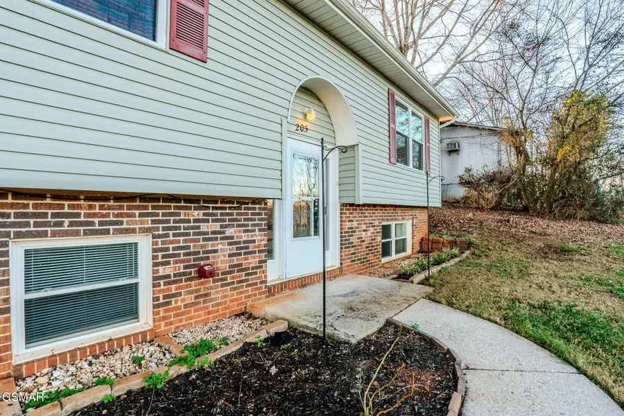 205 Blue Ridge Lane, Seymour, TN 37865 - Image #3