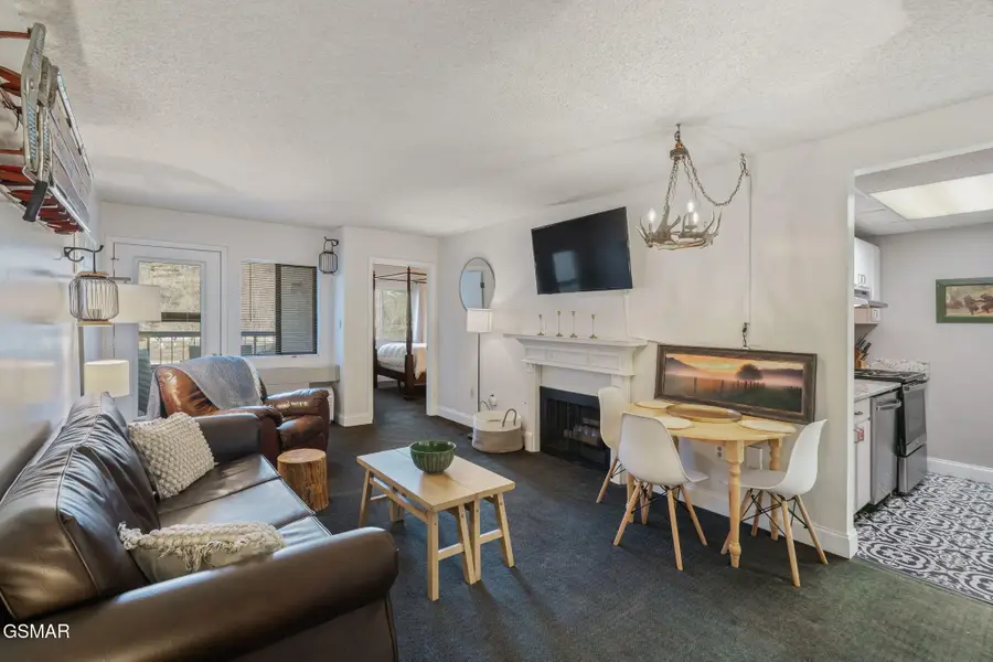 102 Baskins Creek Bypass #UNIT 207, Gatlinburg, TN 37738 - Image #2