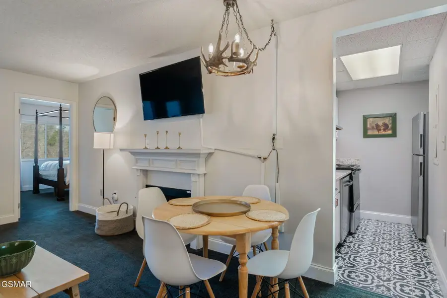 102 Baskins Creek Bypass #UNIT 207, Gatlinburg, TN 37738 - Image #3