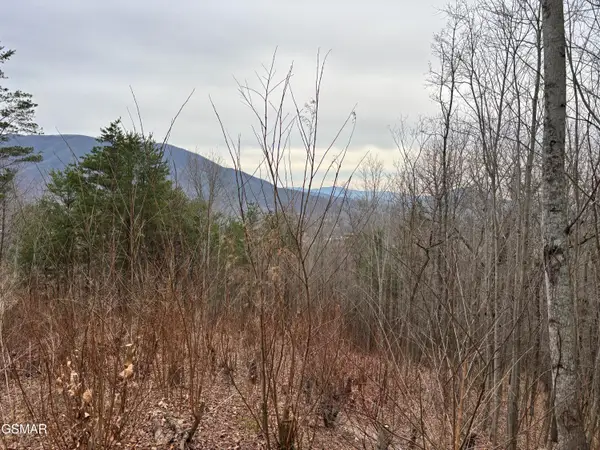 Lot 19 Dogwood Ridge Way, Sevierville, TN 37862