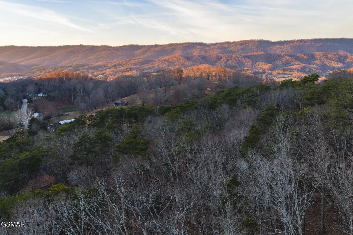 1655 Lester Whitt Road, Rutledge, TN 37861 - Image #1