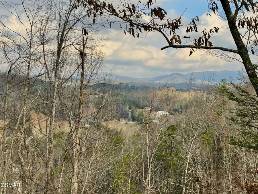 106 & 107 Dollys Drive, Sevierville, TN 37876 - Image #2